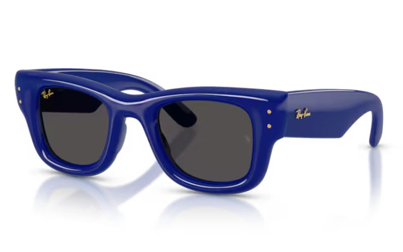 RAY BAN WAYFERER  PUFFER