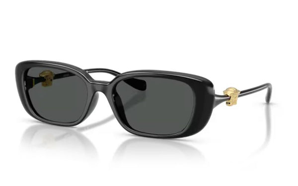 VERSACE 4504