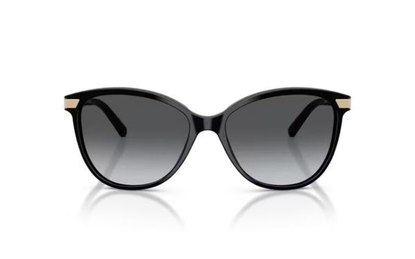 BURBERRY 4216 POLARIZED