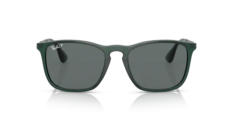 Ray ban chris hot sale black